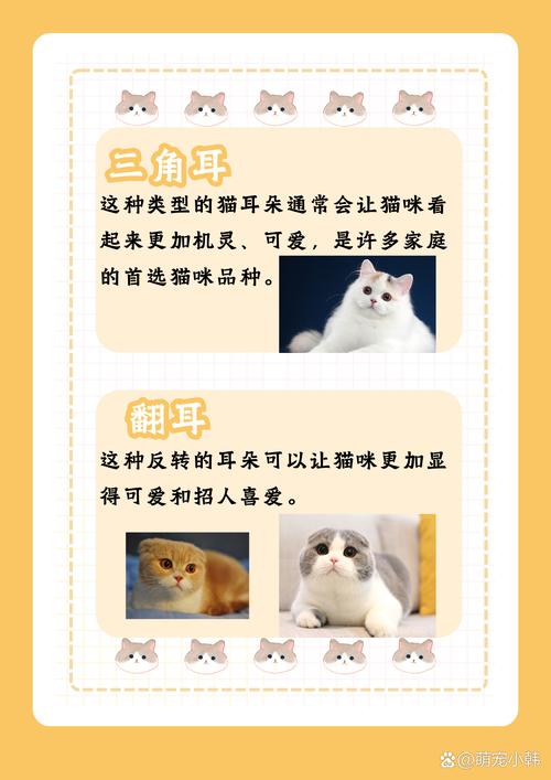 揭秘猫咪耳朵的奇妙粘性