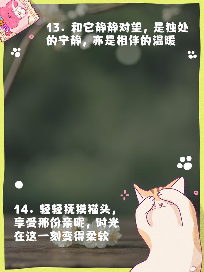 喵星人的生活哲学，猫咪是如何优雅地度过每一天的