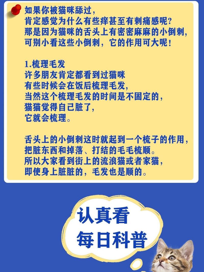 猫咪舌头变黄的那些秘密