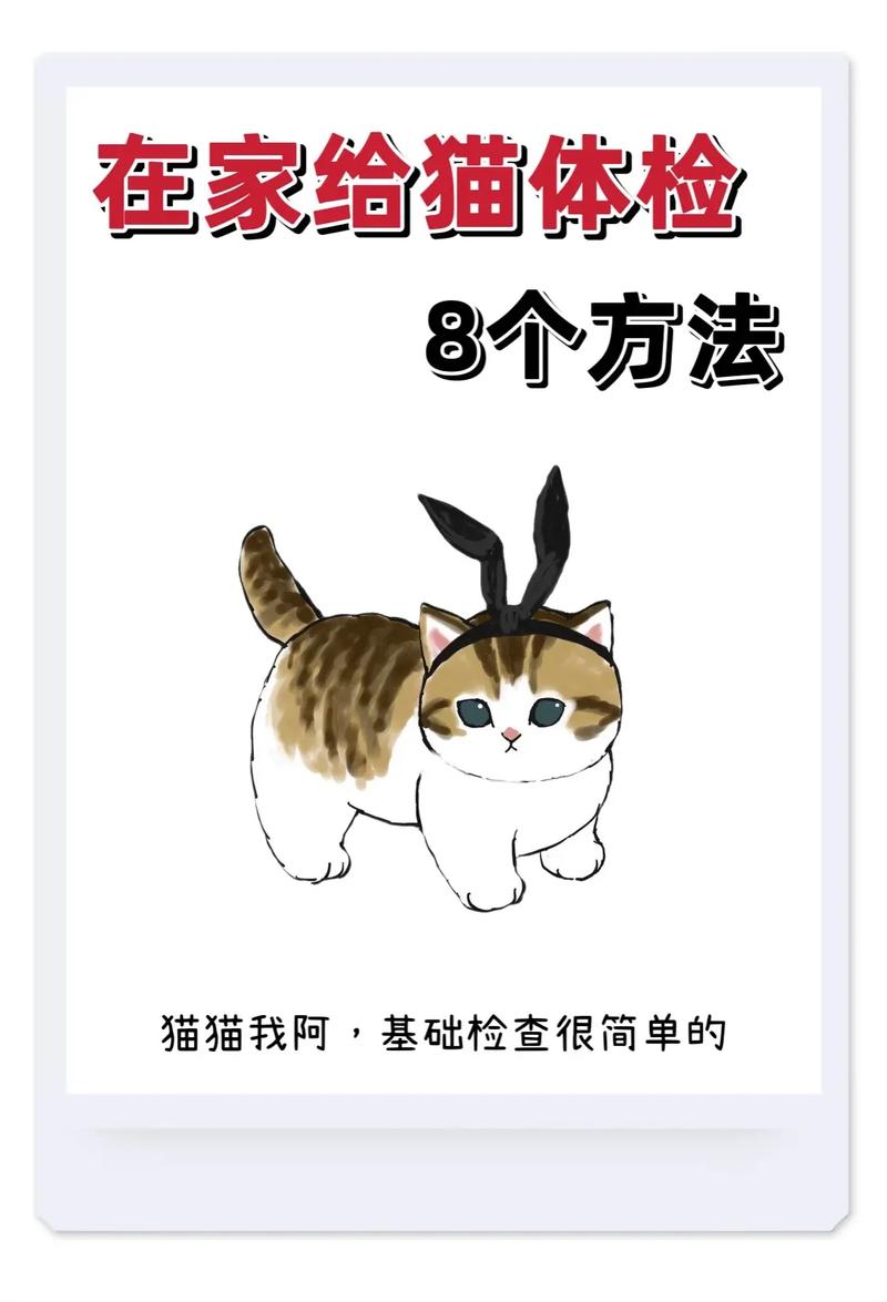 猫咪也能学会的简单技能，用纸牌打字