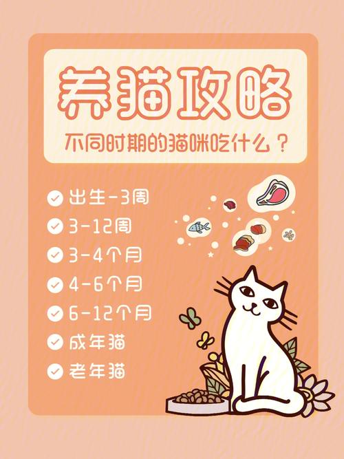 猫咪成长的每个时期都值得细细品味