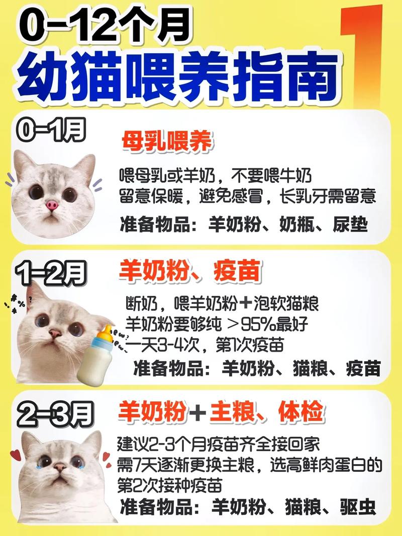 猫咪繁殖与家庭饲养指南