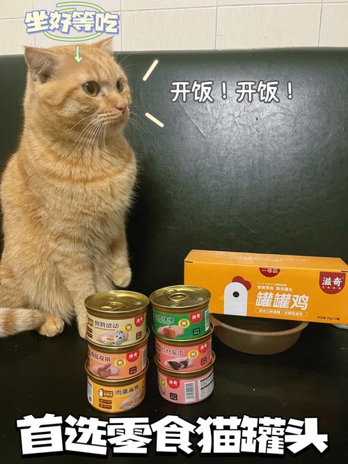 猫咪冬季进补