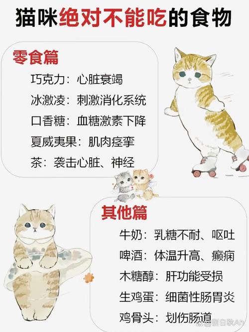 揭秘猫咪吃货的秘密