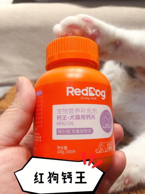 猫咪补钙——为您的毛孩子选择最适合的营养品