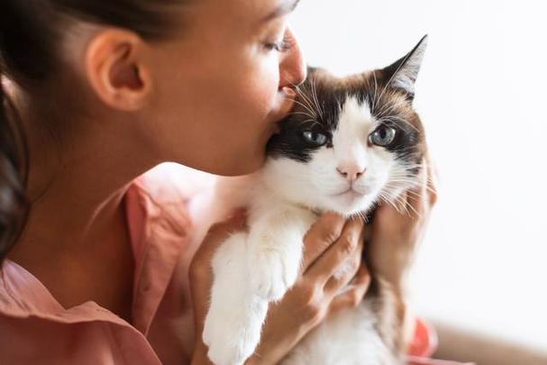 猫咪放养？探索家庭宠物的另一种生活状态