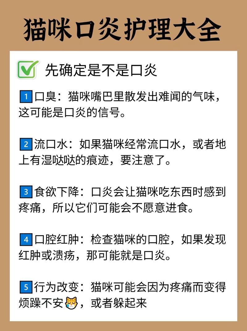 猫咪慢性口炎，如何护理与预防