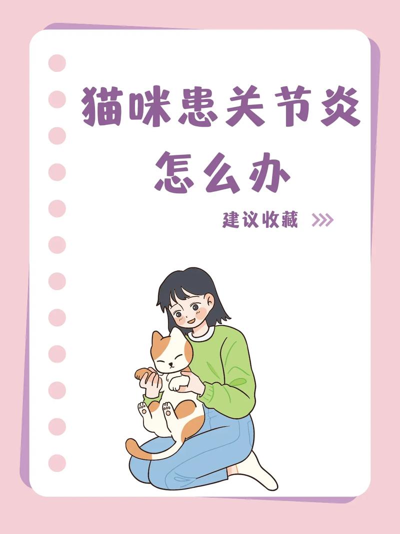 猫咪关节红肿，如何识别和处理