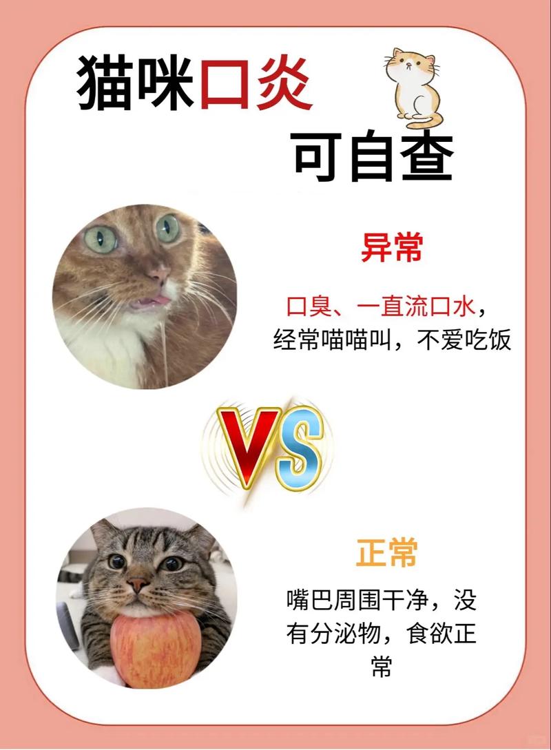 猫咪口腔发白？这可能是严重的健康信号！