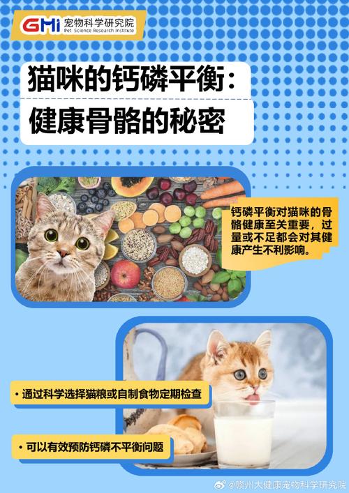 揭秘猫咪大便中的磷元素，猫粮与健康之间的秘密