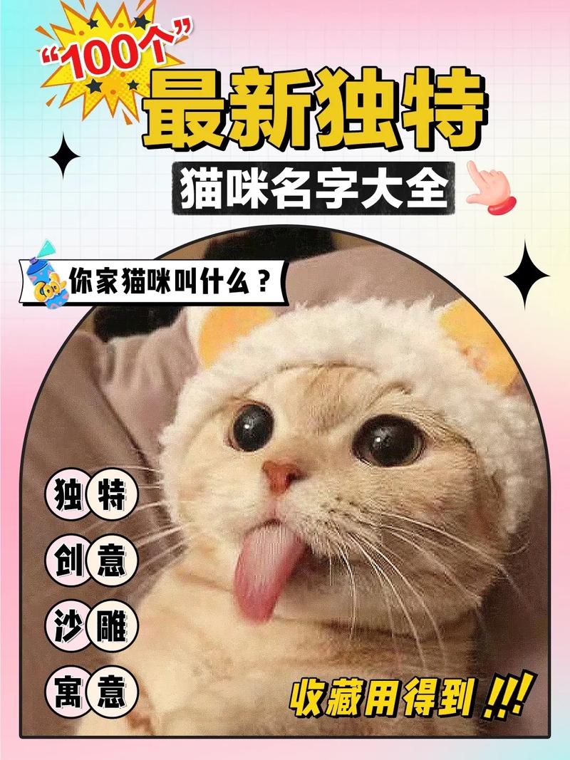 猫咪名字的巧妙输入之道