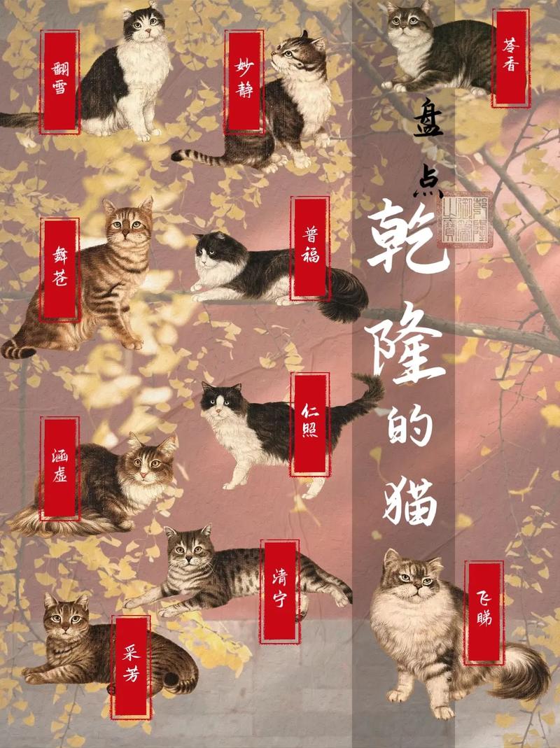 猫咪能否与酒精共舞？——浅析猫咪饮酒的危害