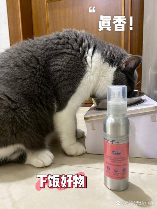 猫咪的油与医