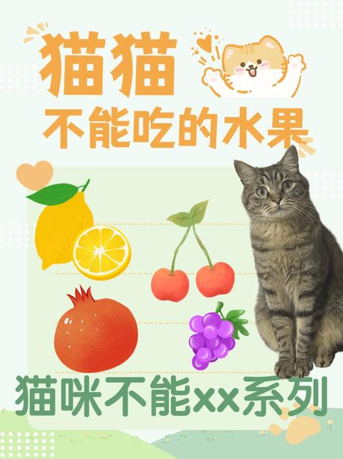 揭秘猫咪中毒的鉴别技巧