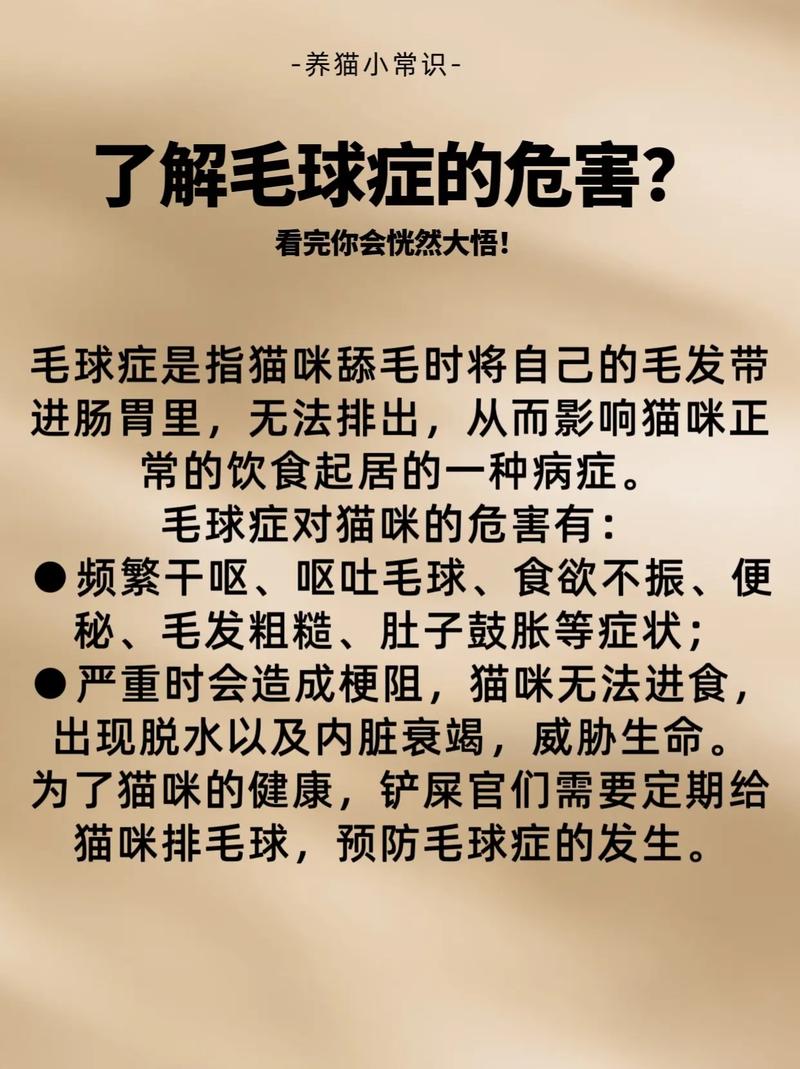 猫咪肠道毛球，了解与预防