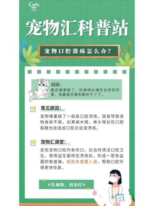 猫咪牙断了出血，如何正确处理宠物的口腔问题