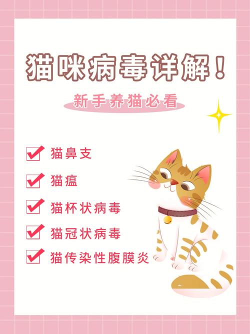 揭秘，带毒猫咪杯状病毒的真相