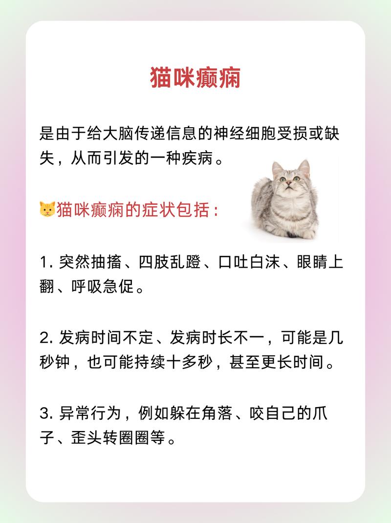 猫咪伤到神经了，探索神经损伤对宠物的影响