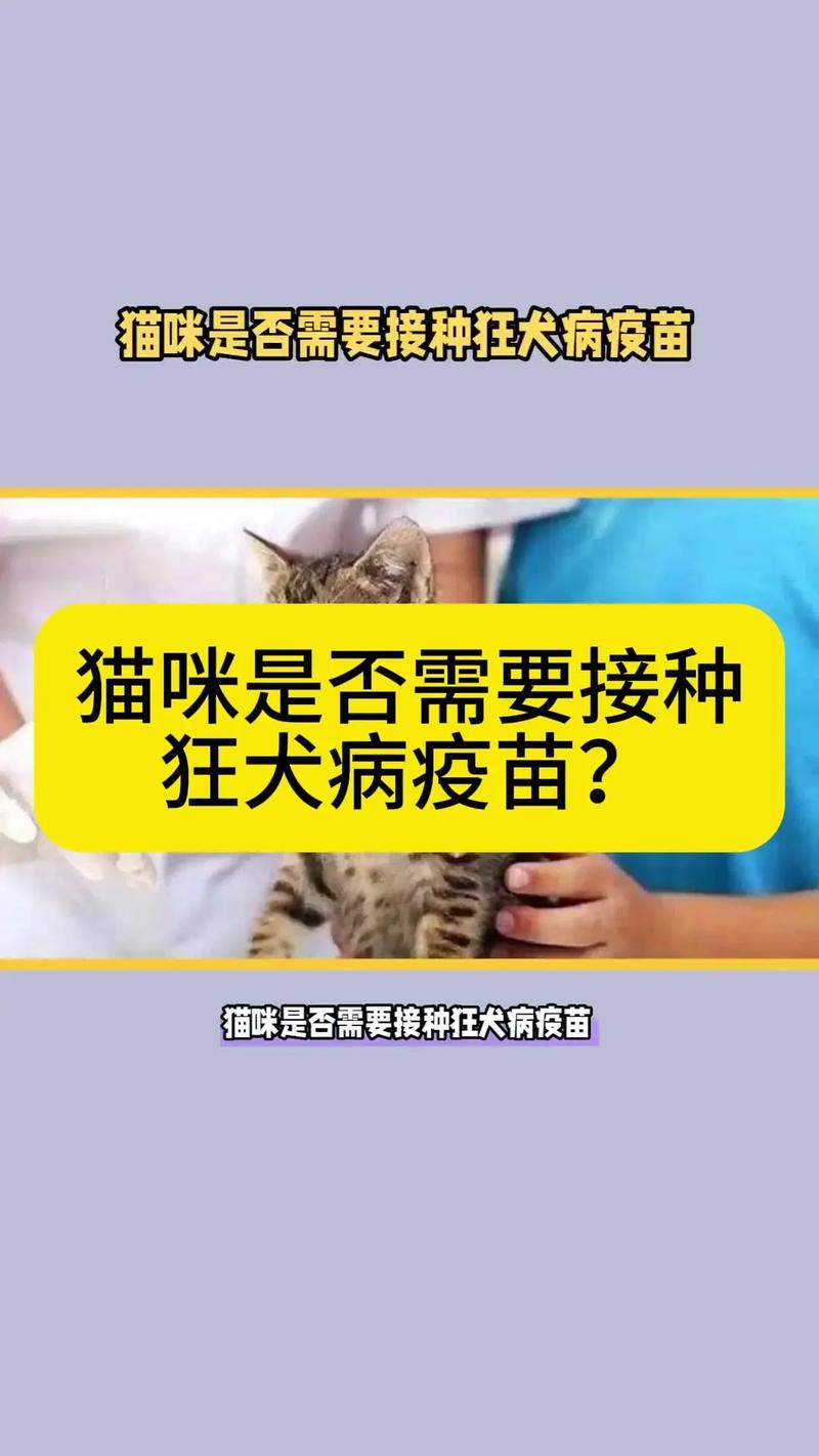 猫咪真的不会患狂犬病吗？揭秘猫咪与狂犬病毒的神秘关系