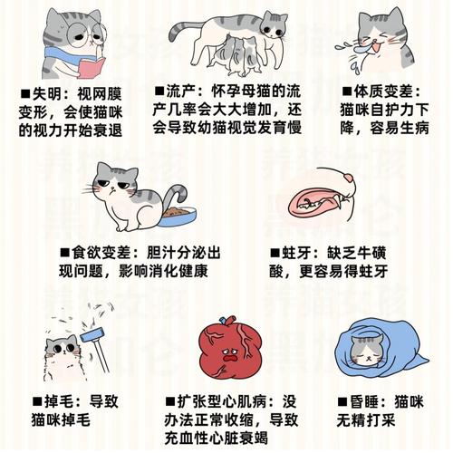 猫咪也需要牛磺酸，如何给爱宠科学补给