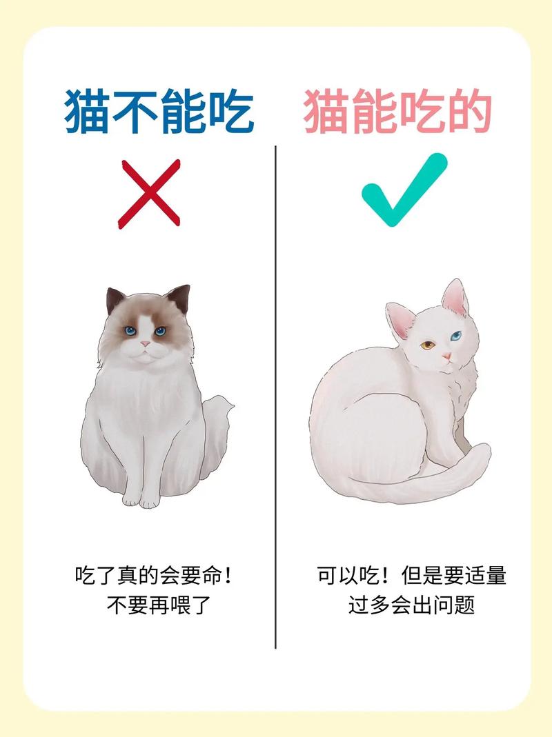 揭秘猫咪脊柱，位置与重要性全解析