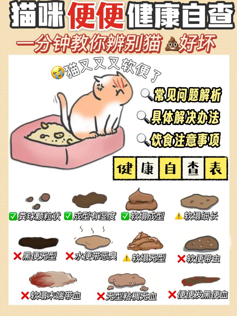 猫咪粪便中的杂质，如何保持毛孩子健康