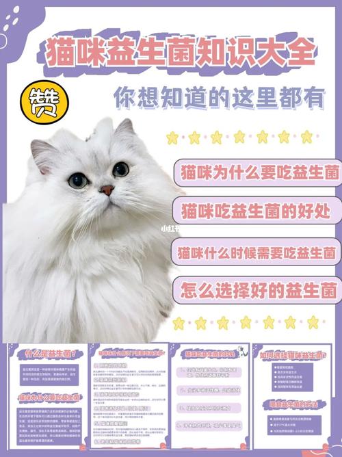 猫咪也能享受益生菌的益处