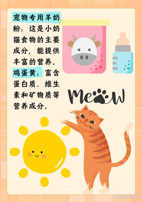 猫咪为何钟爱鸡蛋？揭秘宠物的神秘食谱