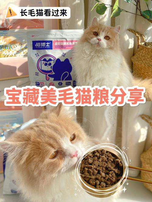 猫咪的换毛期，了解它们为何会如此大动干戈