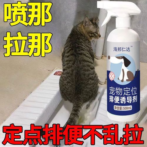 教你如何教猫咪定点如厕