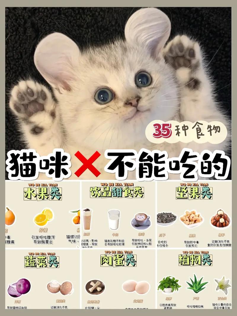 猫咪能吃肉条吗？——了解猫的饮食习惯