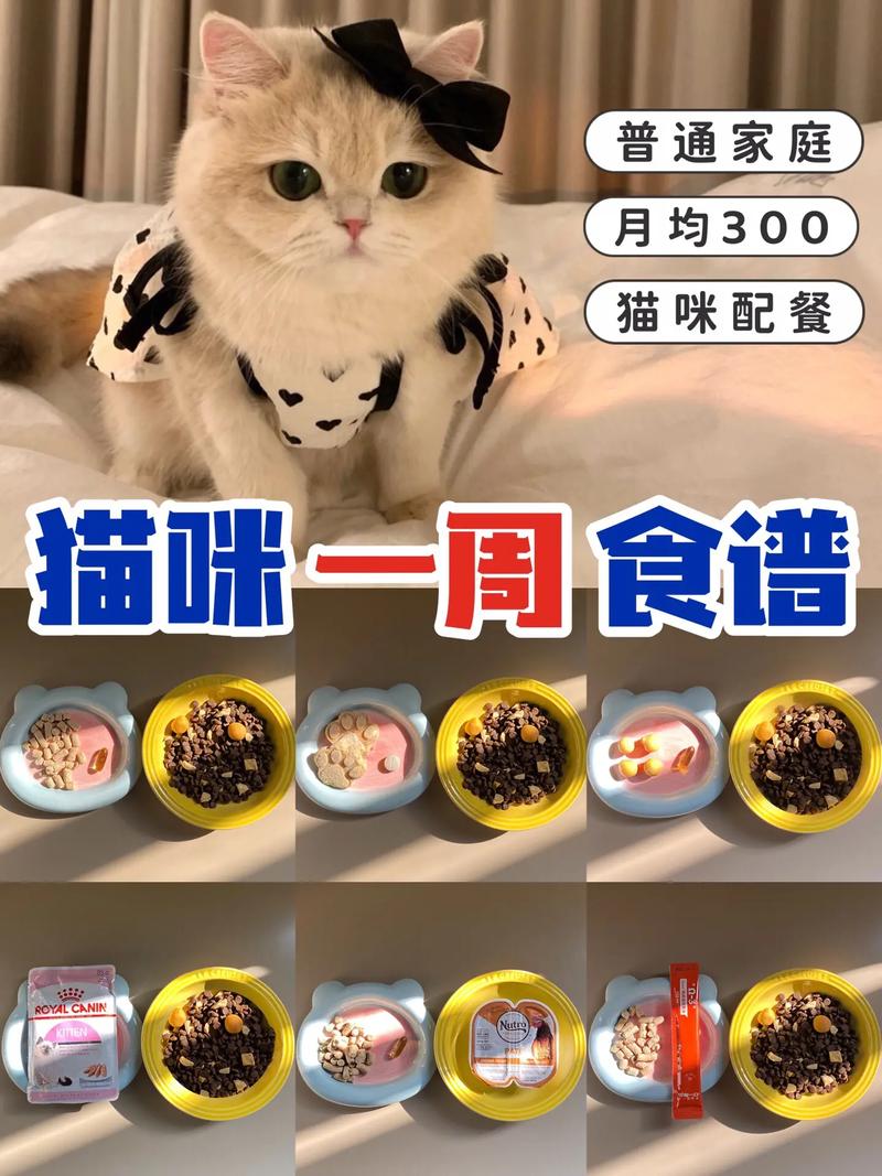 猫咪肝脏健康食谱，给您的小猫营养满满