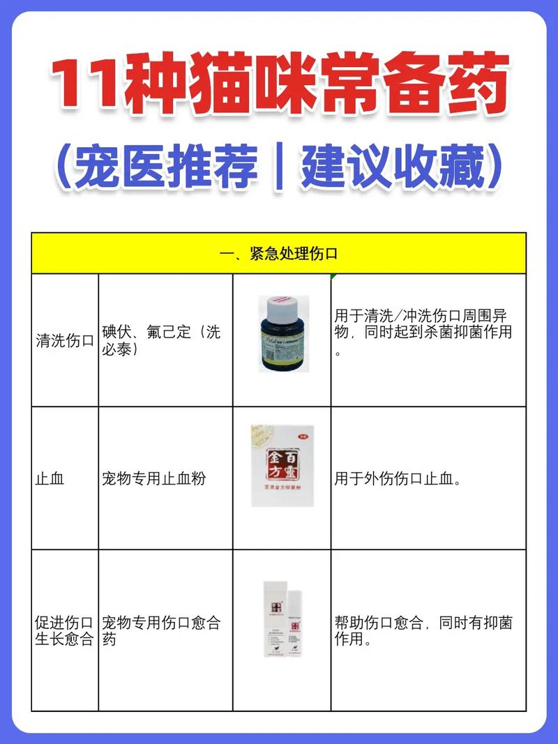 解决猫咪生病用药难题，轻松购药指南