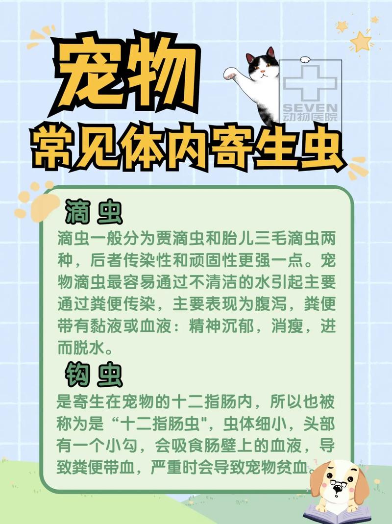 揭秘毛孩子清洁小秘密