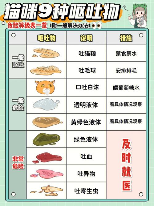 揭秘猫咪呕吐与食物之间的神秘联系