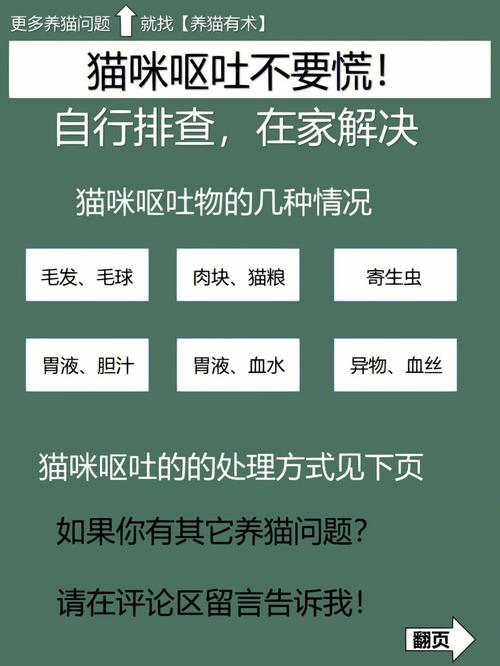 猫咪呕吐且无法排便？这可能是健康危机的信号