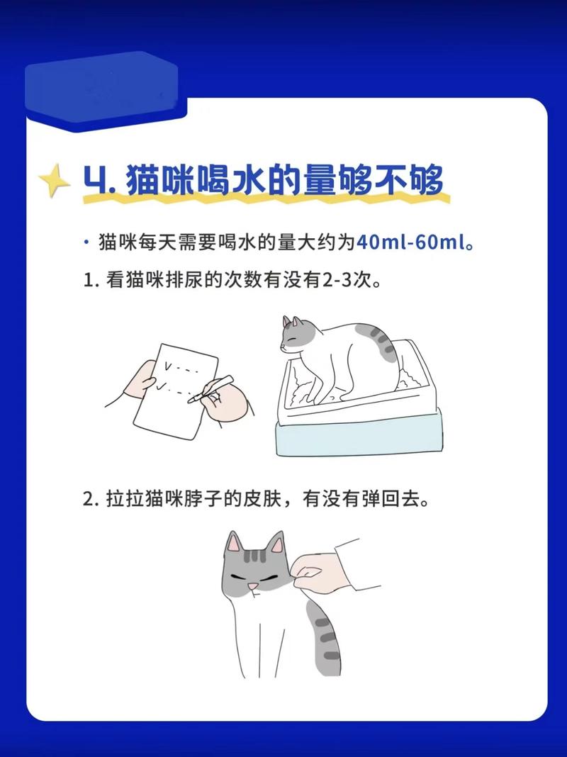 冬季猫咪为何不爱喝水？