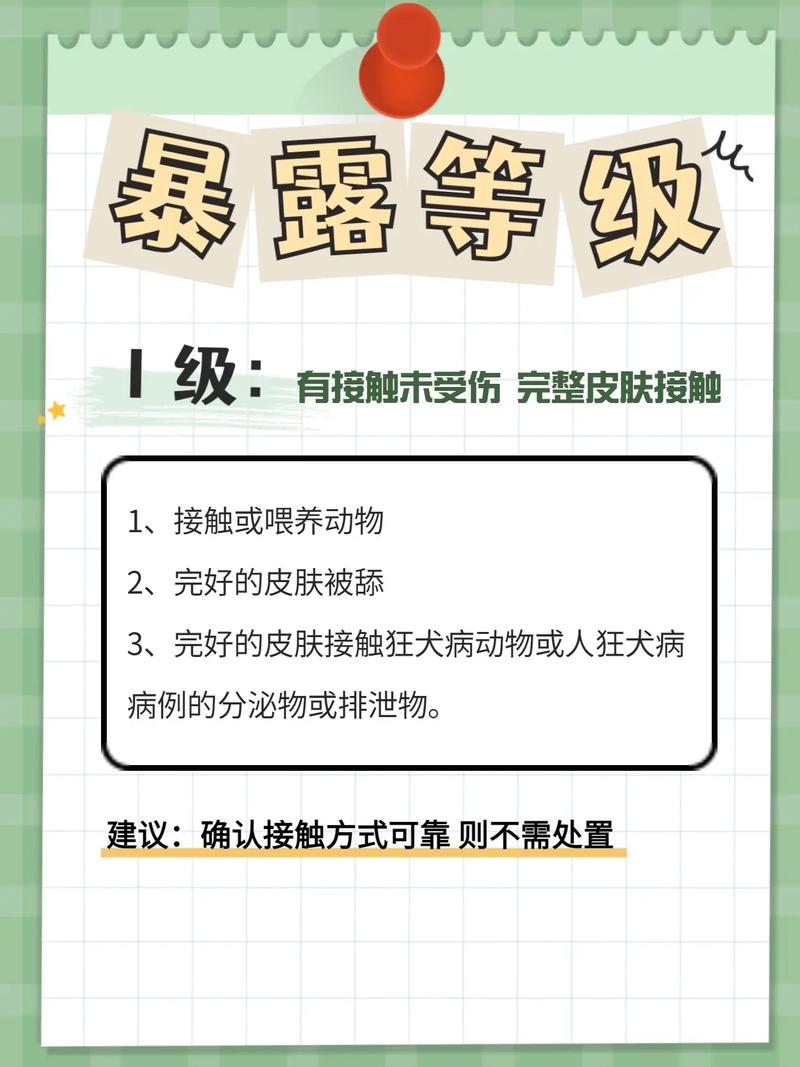 猫咪咬伤如何应对？——保护自己，照顾伤口