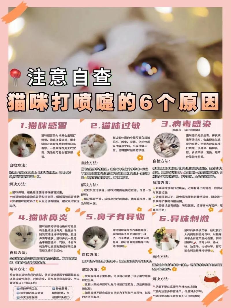 猫咪感冒时为何会流鼻涕？如何有效应对？