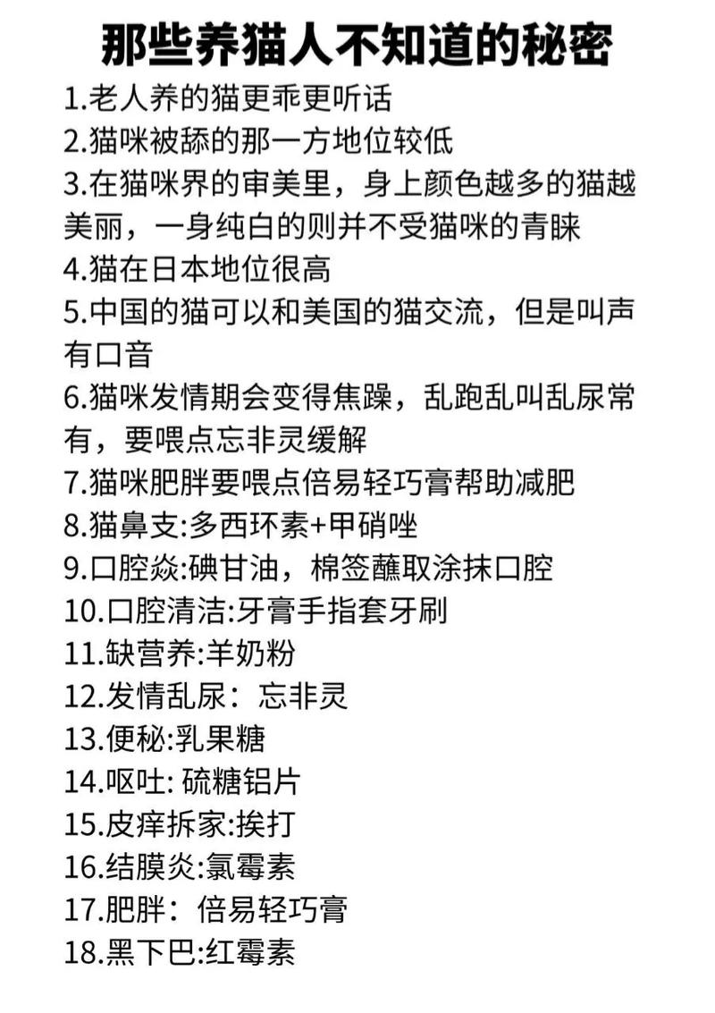 猫咪到底能洗几次澡？你需要知道的秘密