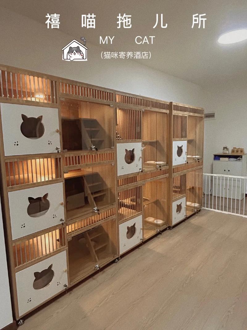 猫咪宠物收养所