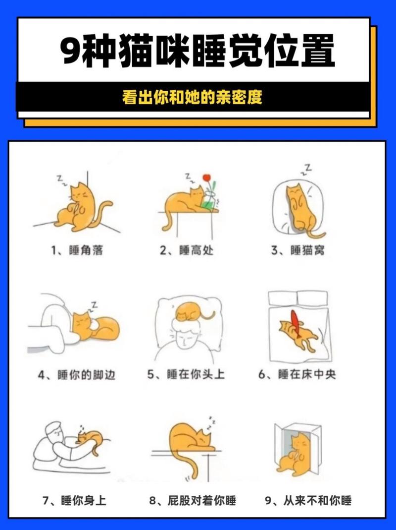 猫咪睡觉时发出的哼声，揭秘猫的睡眠秘密