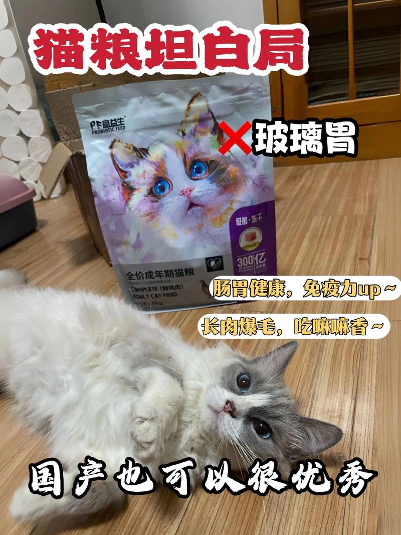 夏日炎炎，猫咪食欲减退？揭秘夏季猫粮选择秘籍