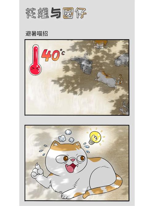 猫咪避暑妙招全解析，夏日清凉无忧