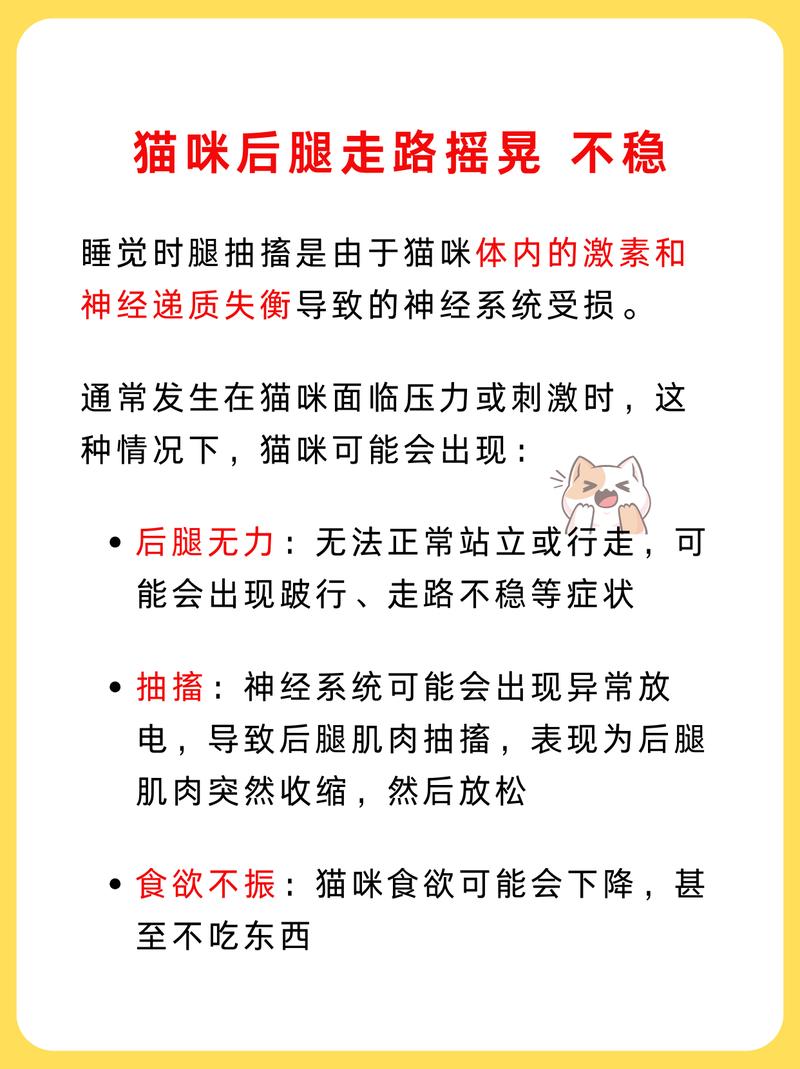 猫咪后腿抽搐的那些事