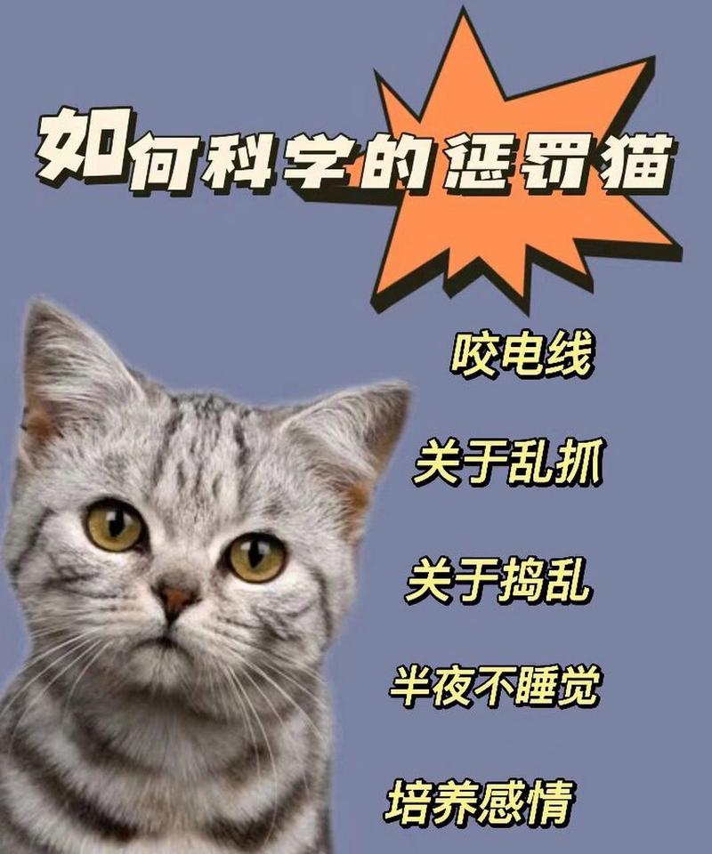 妙招助你化猫爪为友，有效阻止猫咪抓人