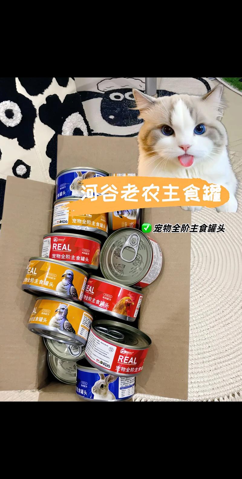 猫咪辅食罐头，为毛适合您的爱宠？