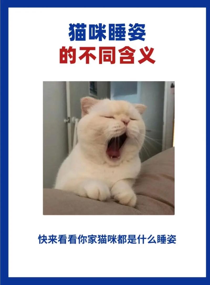 揭秘猫咪绝育手术中的静脉麻醉——安全与舒适并重