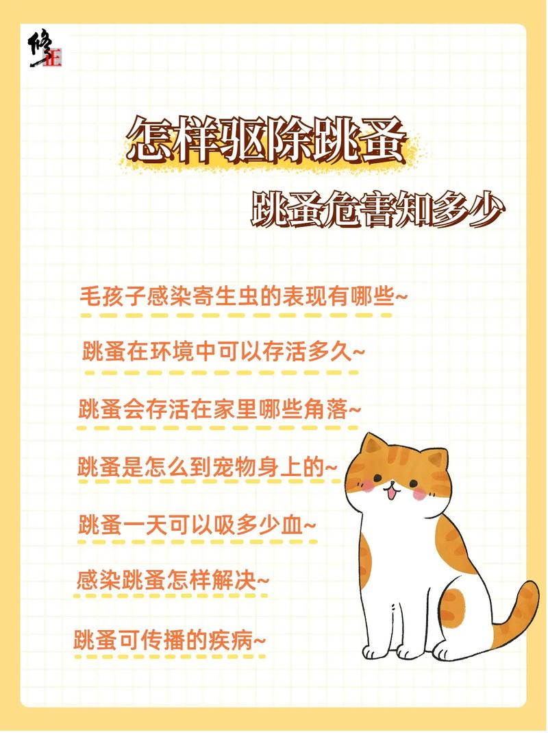 如何有效防止猫咪跳蚤入侵