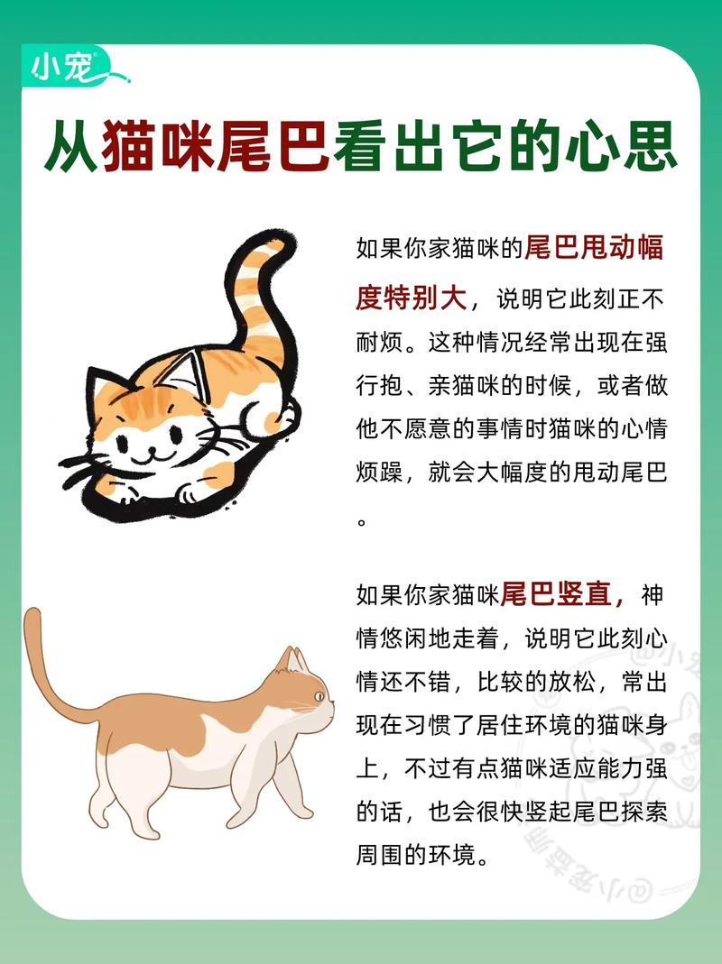 猫咪尾巴变黄，健康警报还是美丽点缀？